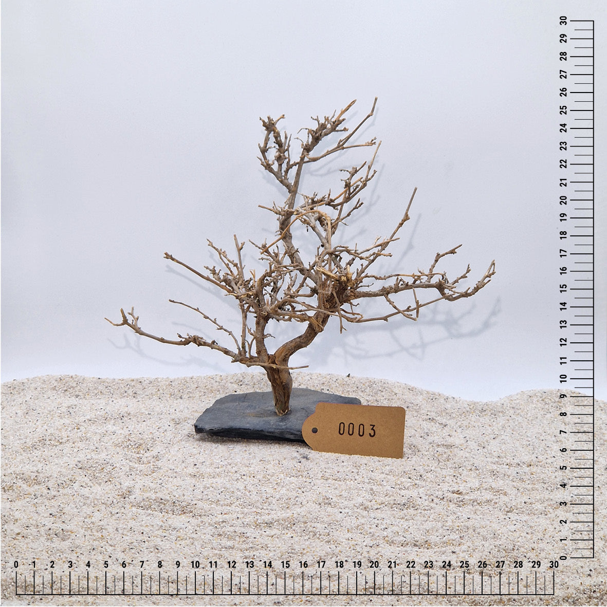 Handgemachter Bonsai Baum M (ca.15-20cm)