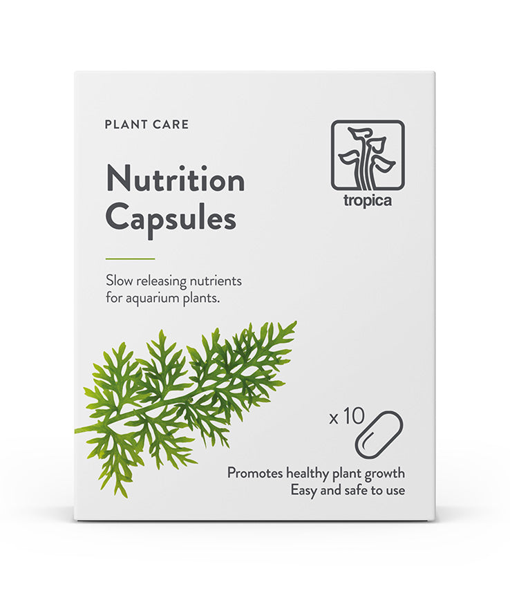 Nutrition Capsules -  Düngekapseln