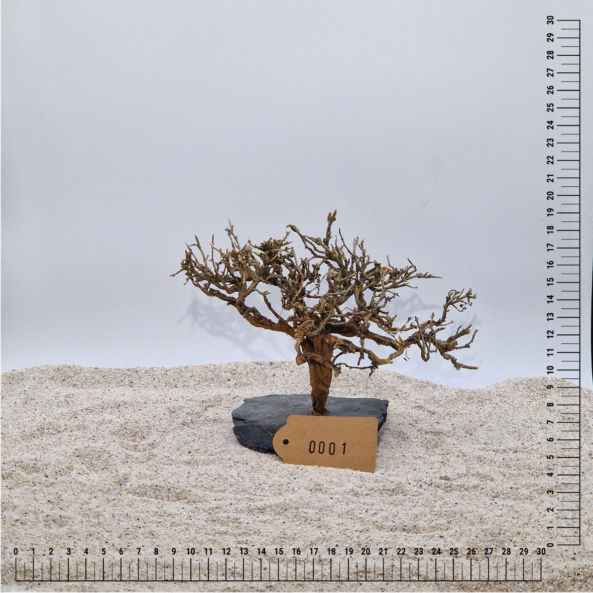 Handgemachter Bonsai Baum M (ca.15-20cm)