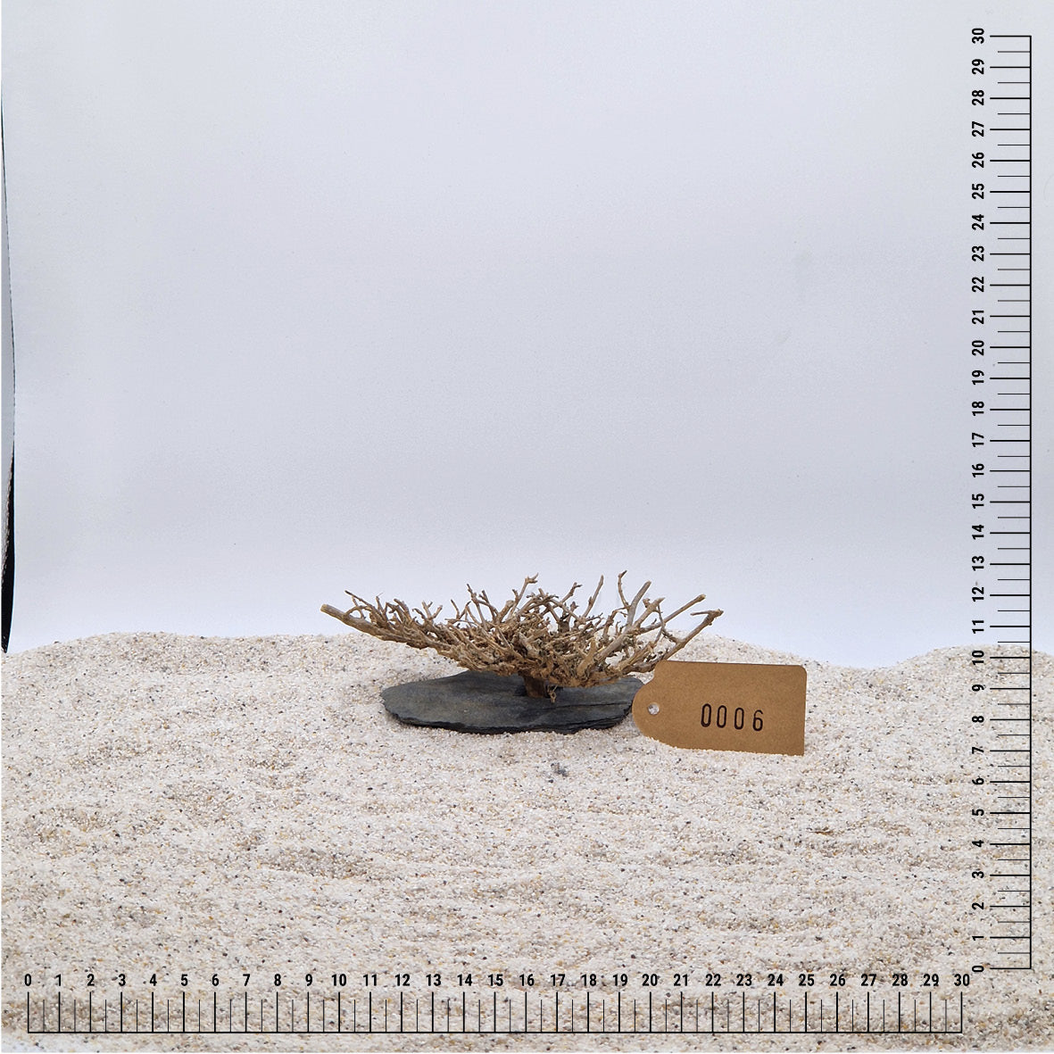 Handgemachter Bonsai Baum S (ca.10-15cm)