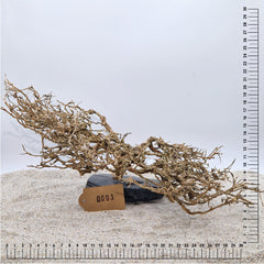 Handgemachter Bonsai Baum XL (ca.20-30cm)